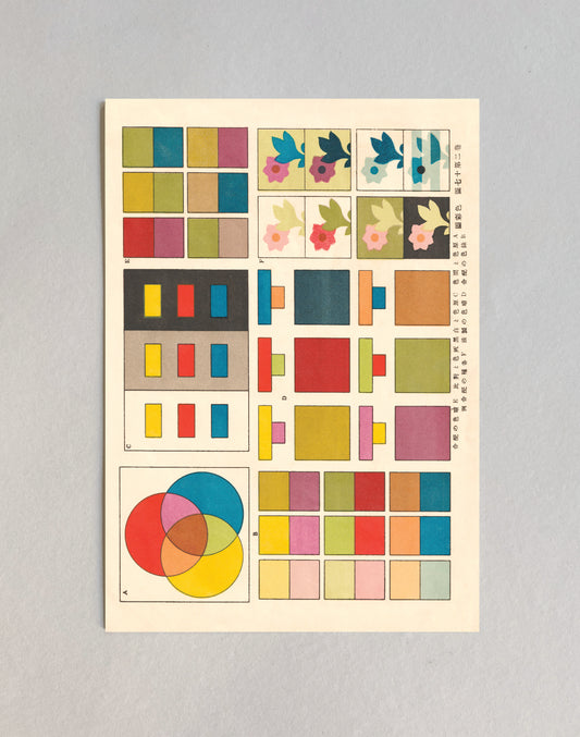 kiku print : postcard - colour chart #2