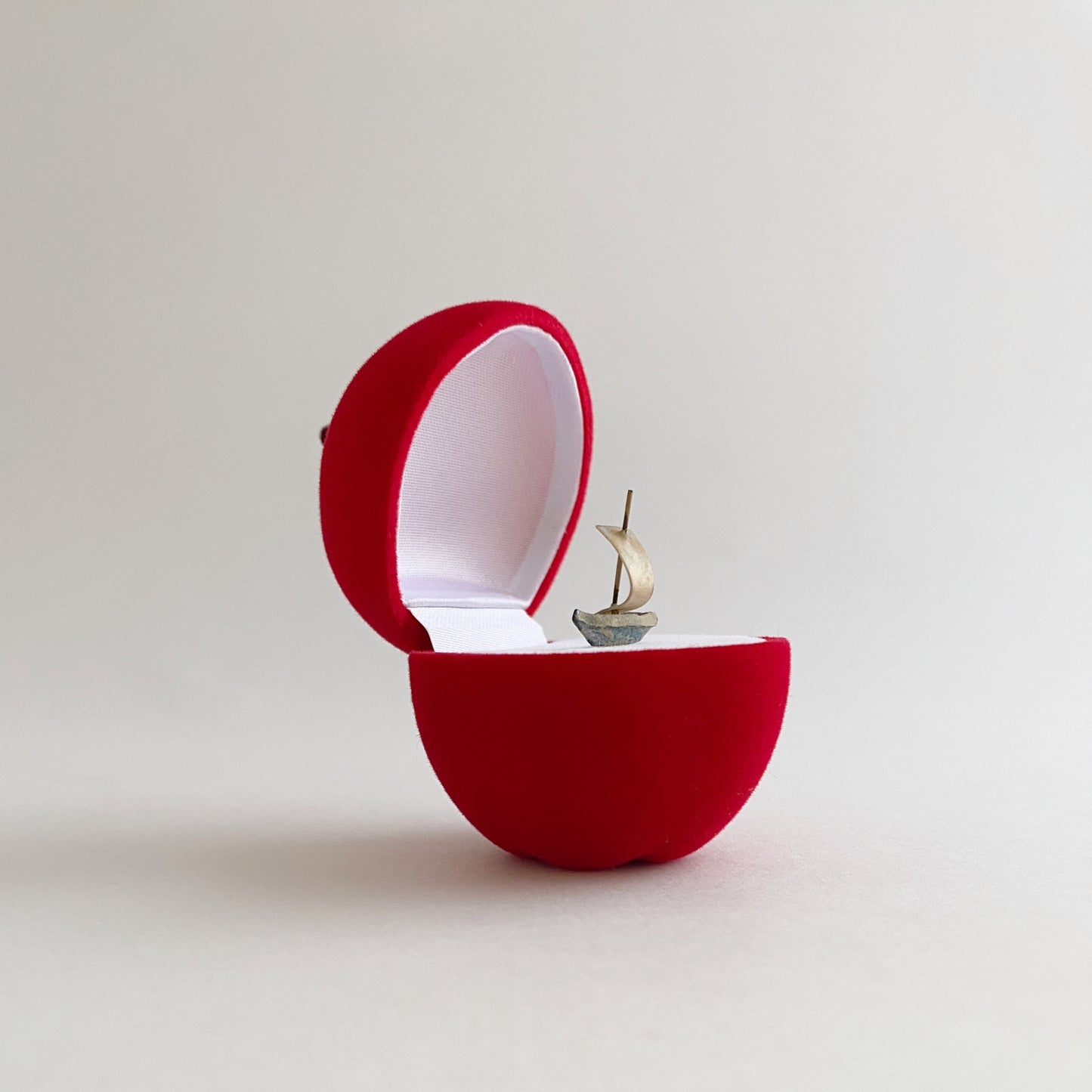 apple ring case