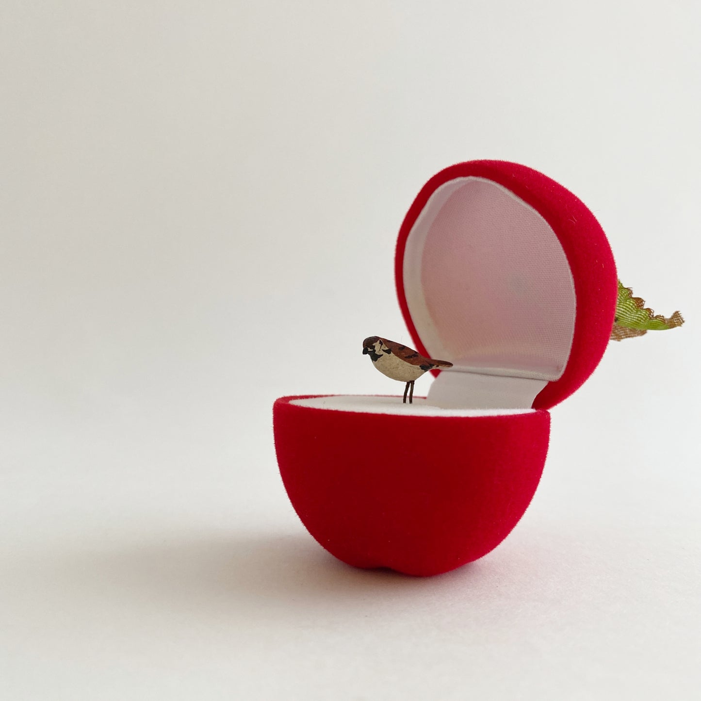 apple ring case