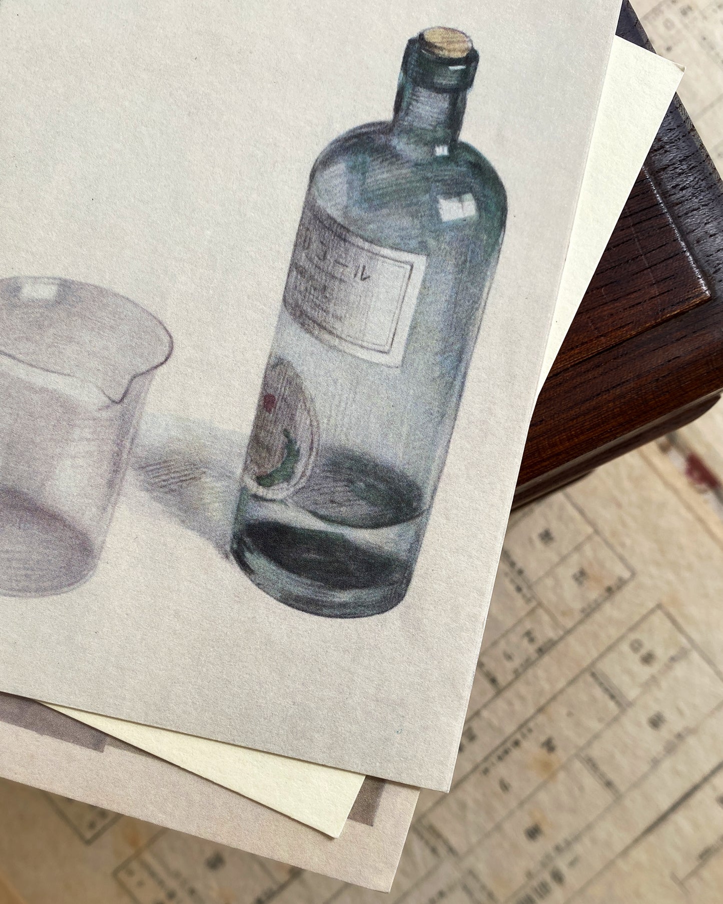 kiku print : postcard - late night