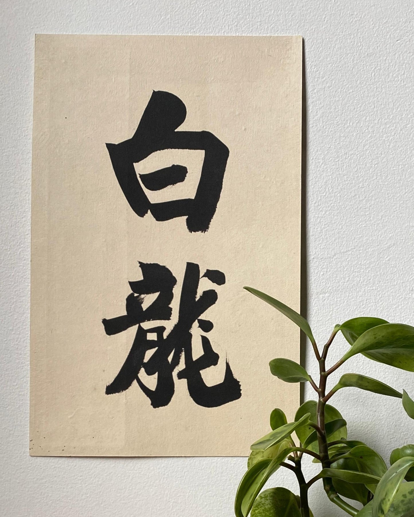 vintage japanese calligraphy : white dragon