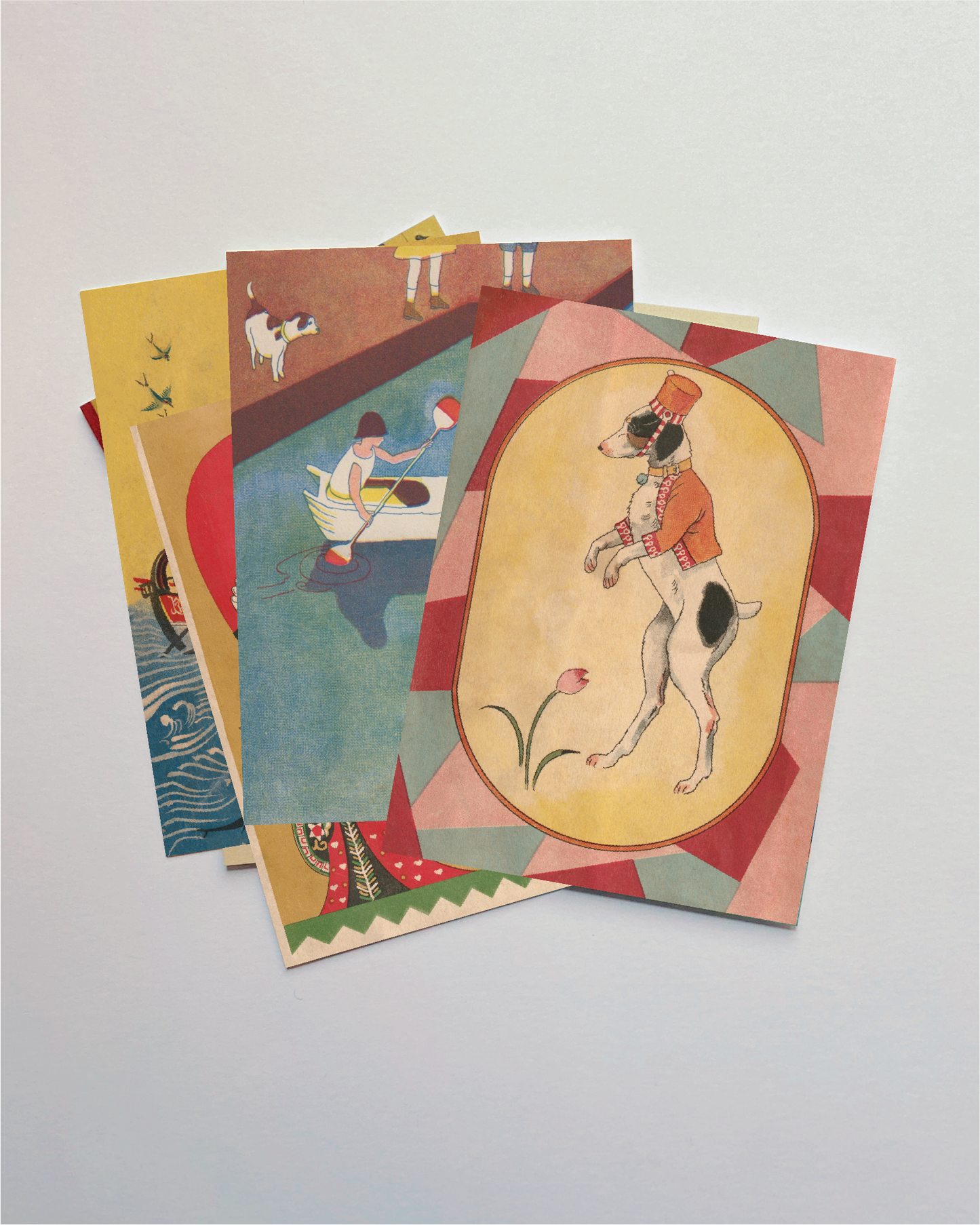 kiku print / postcard : Violet