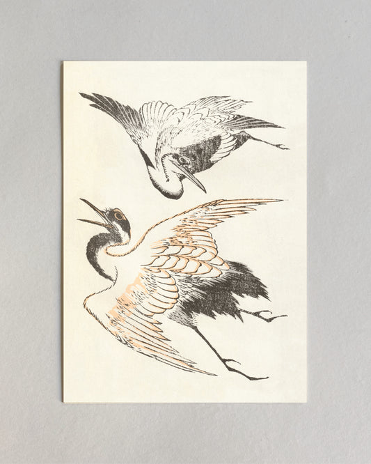 kiku print / postcard : meiji cranes
