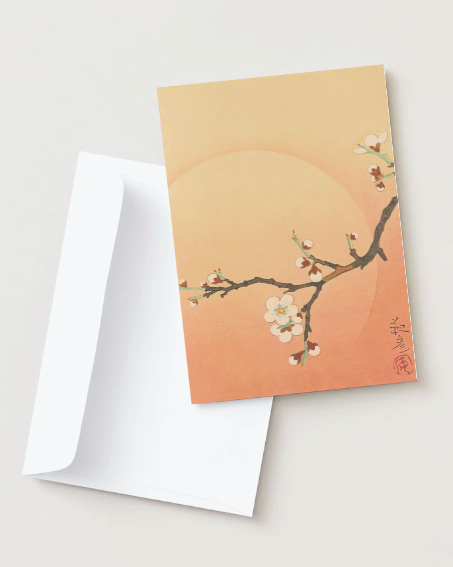 kiku print : greeting card - apricot blossom