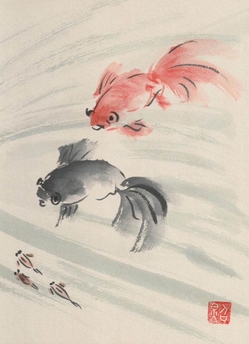 kiku print : greeting cards - gold fish