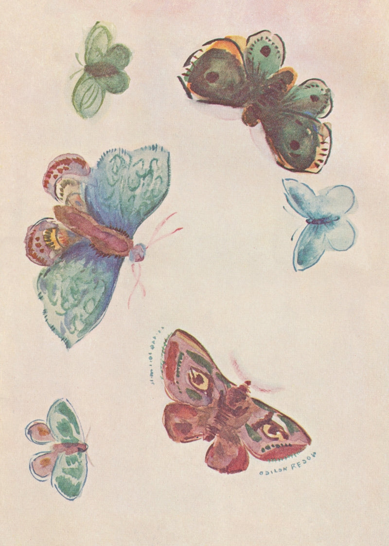 kiku print : greeting card - butterfly