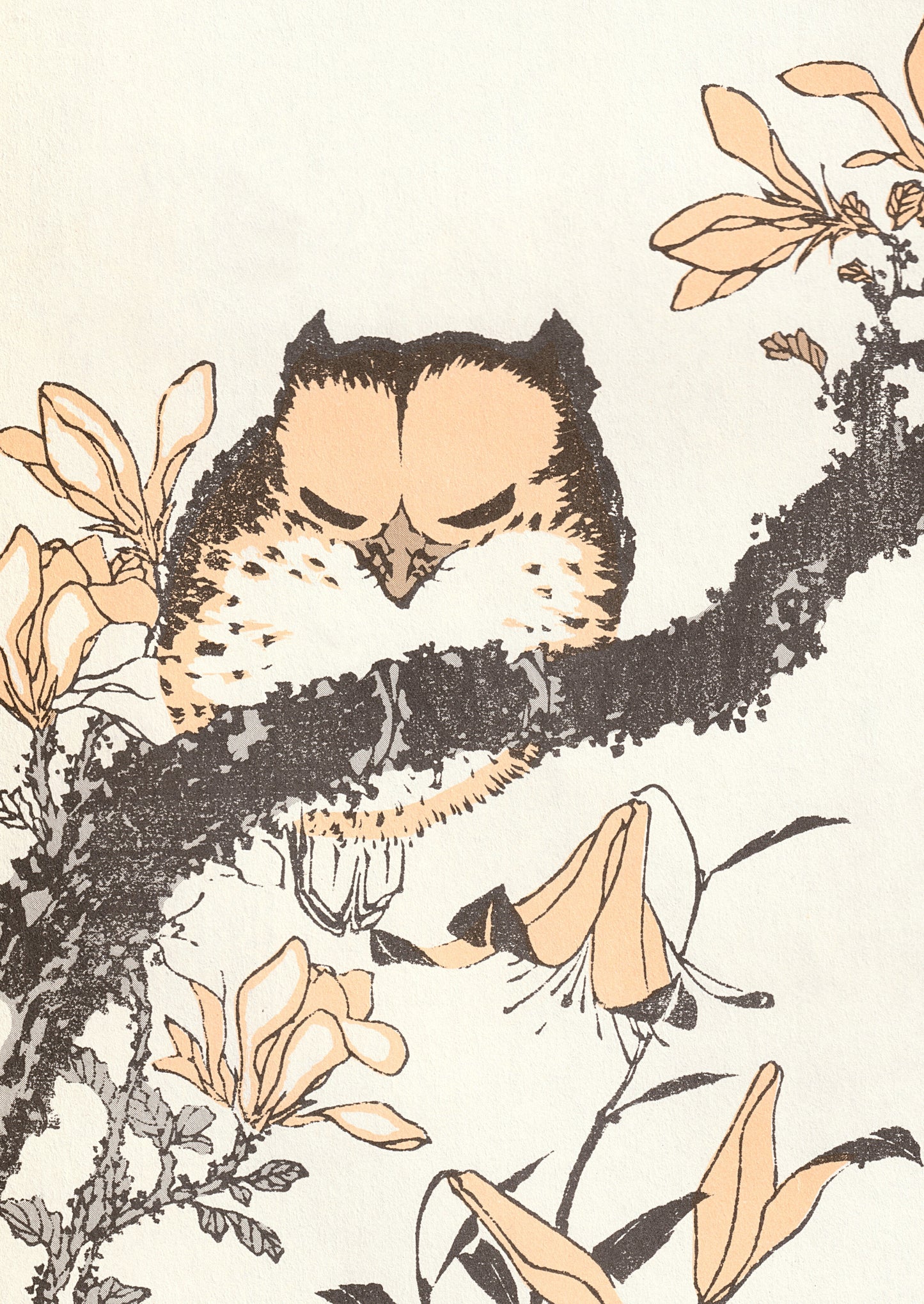 kiku print / postcard : meiji owl