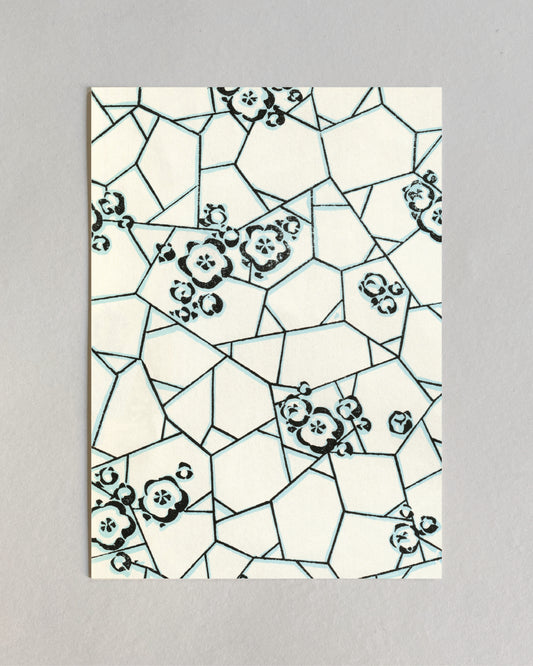 kiku print / postcard : meiji sakura