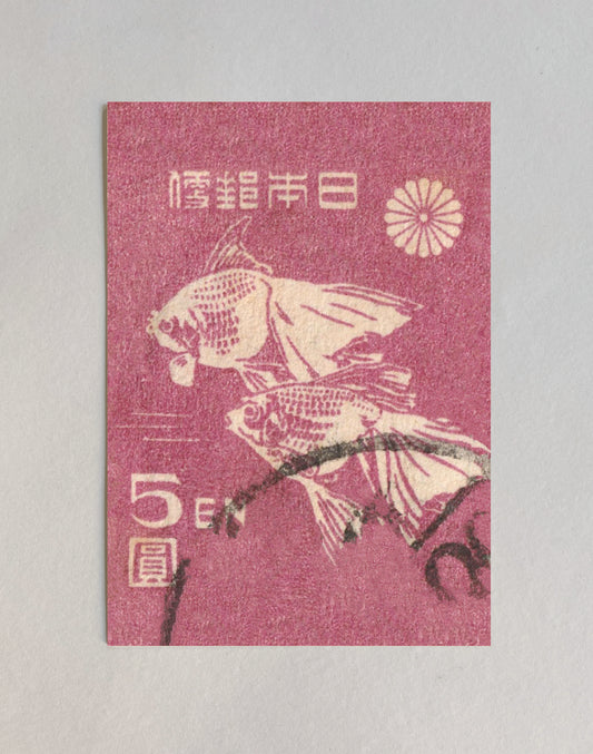 kiku print : postcard - goldfish stamp