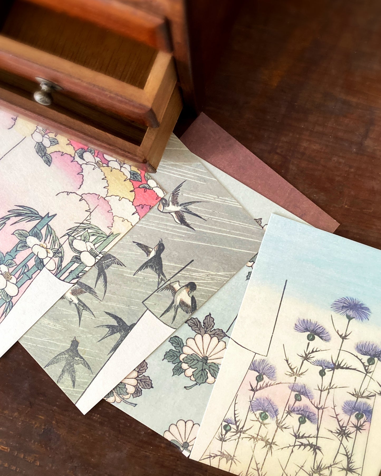 kiku print : postcard - hanikamu