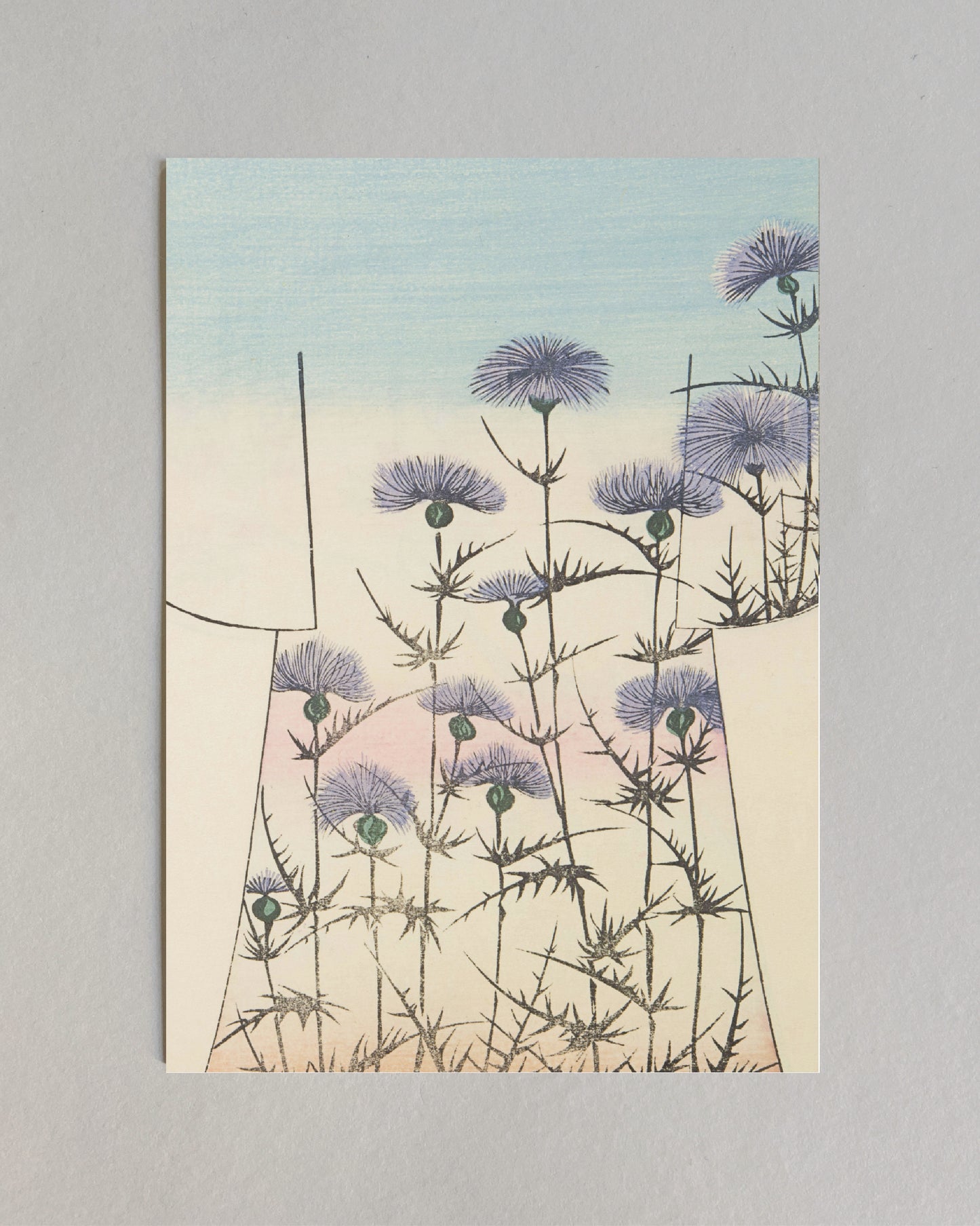 kiku print : postcard - azami