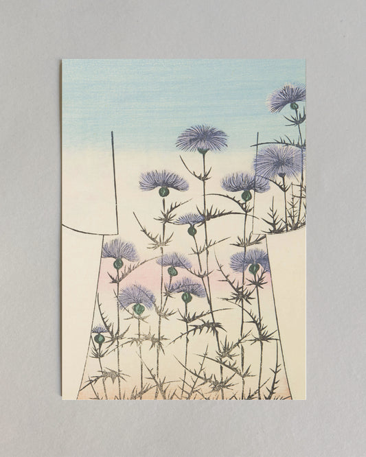 kiku print : postcard - azami