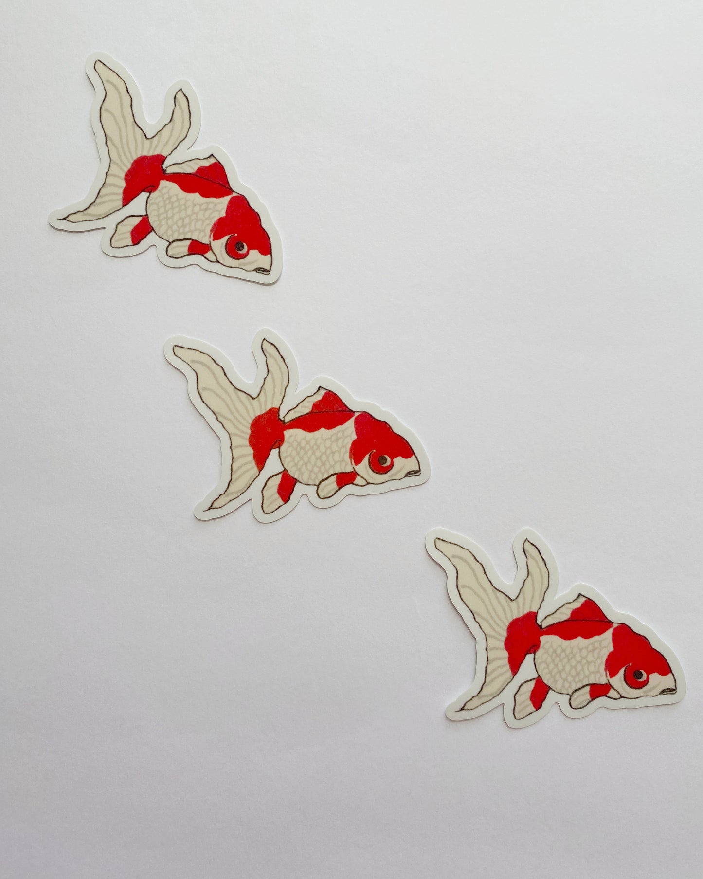kiku print : vinyl sticker - kingyo