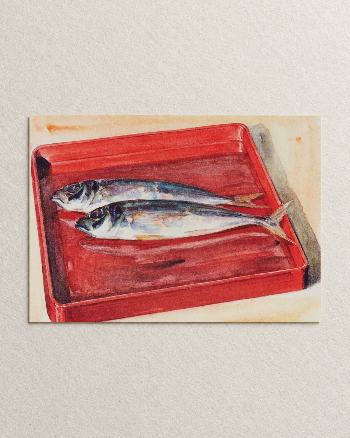 kiku print : postcard - saba
