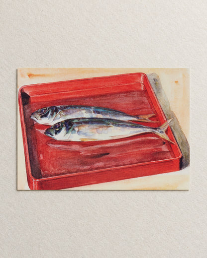 kiku print : postcard - saba