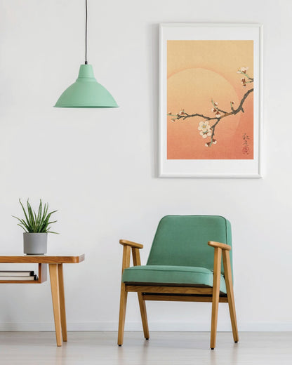 kiku print : A3 print - apricot blossom