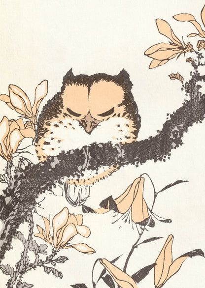 kiku print / postcard : meiji owl