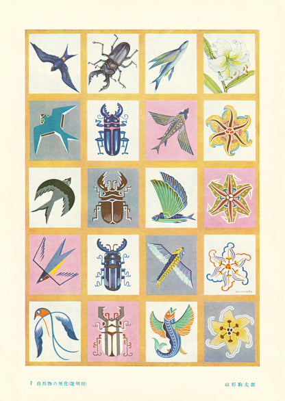 kiku print / postcard : pictograph - wings + stings
