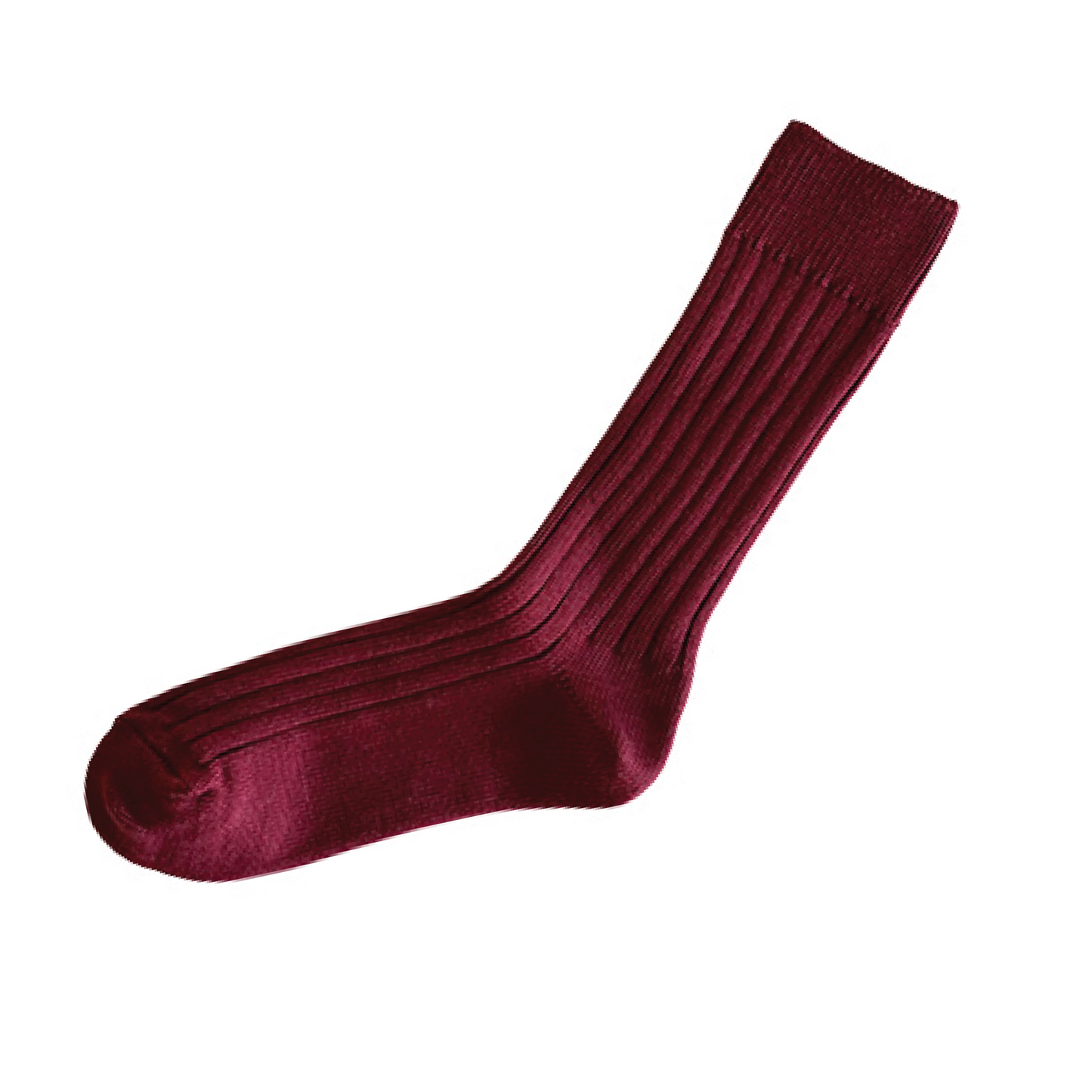 NISHIGUCHI KUTSUSHITA : praha egyptian cotton ribbed sock